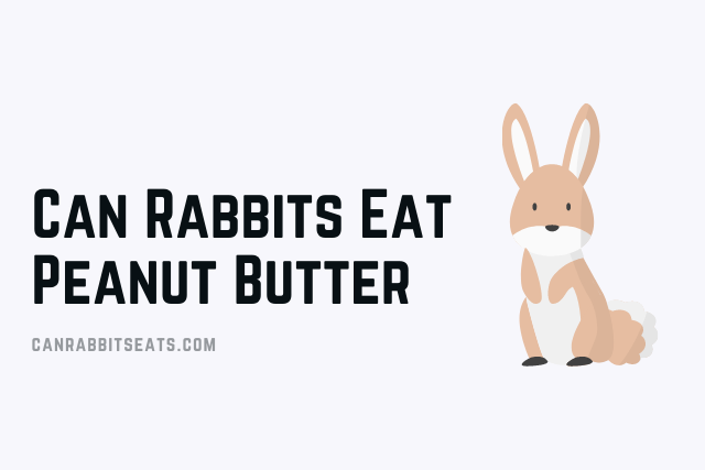 Can Rabbits Eat Peanut Butter