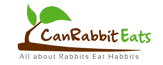 Can Rabbits Eats